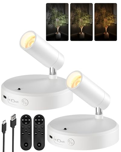 EZVALO Foco LED Inalámbrico, Aplique de 5500 mAh con Mando a Distancia y Temporizador, 3 Temperaturas de Color, Ideal para Iluminar Dormitorios, Cuadros y Plantas de Interior (2 Pieza, Blanco)