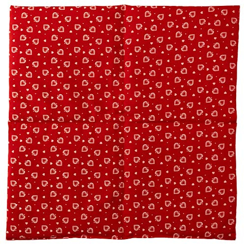 Bio Dinkelkissen 40x40cm 4-Kammer groß Herzen-rot - Wärmekissen Körnerkissen