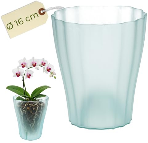 Orchideentopf Transparent Orchideen Übertopf Orchideentopf Plastik mit erhöhtem Boden Blumentopf Innen mit Stufenboden Durchsichtige Pflanztöpfe Ø 16 cm Glas