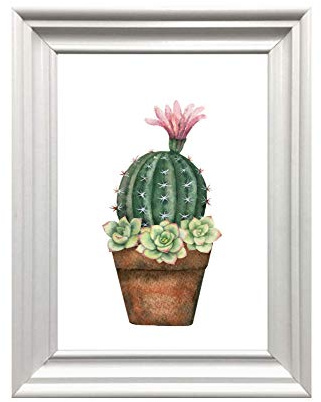 Din A4 Kunstdruck ungerahmt - Kaktus mit Blüten Sukkulenten Dachwurz Aquarell Natur Topfpflanze Druck Poster Bild