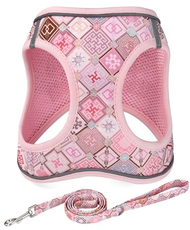 Mihqy Hundegeschirr Kleine Hunde mit Leine, Step-in Geschirr aus Air Mesh, Anti Zug Reflektierend Atmungsaktiv Brustgeschirr, Welpengeschirr für Kleine Hunde, Katzengeschirr(IPink Grid-XS)