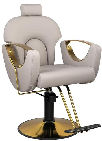 Llchaensc Professioneller Friseurstuhl Mit 360° Drehung Und Hydraulischer Pumpe, Barberstuhl Höhenverstellbar, Kapazität 150 Kg Frisörstuhl Für SPA Schönheit,Grau