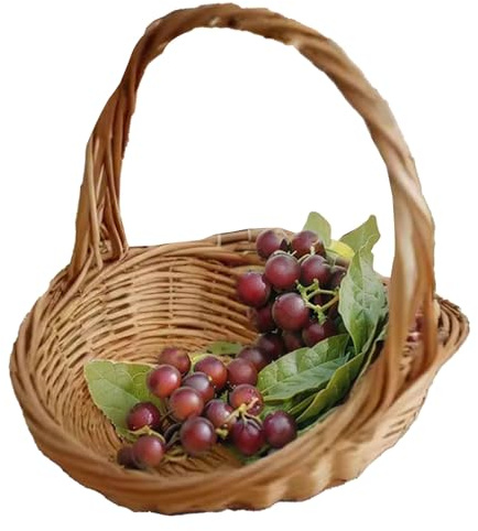 Panier À Fleurs En Osier Grand Panier de Pique-nique en Rotin