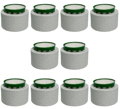 Lot de 10 poids pour plantes aquatiques en céramique pour aquarium - Anneaux fixes - Accessoires de décoration pour eau douce et eau salée - Ancrages améliorés