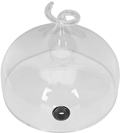 Cabilock Cloche Verre Pour Gâteaux Et Desserts Couvercle Alimentaire Élégant Avec Diffuseur De Fumée Pour Plats Préparés Pour Présentation Et Service Restaurant