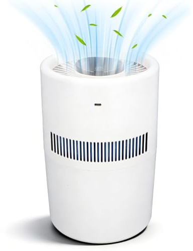 2 En 1 Limpador De Aire Y Refrigerador, Equipo Climatizador Silencioso | Tanque De Agua 4 Litros Humidificador Evaporativo Purificador Aire Escritorio, Purificador Filtrar Polvo Y Pelo De Mascotas