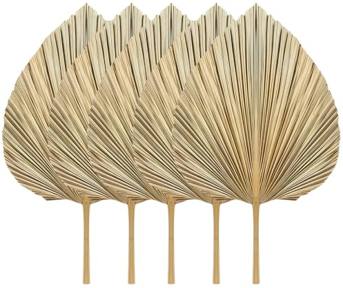 5 hojas de palma secas, hojas de abanico bohemias naturales con acento dorado, para decoración del hogar, bodas, arreglos florales y decoraciones de pared