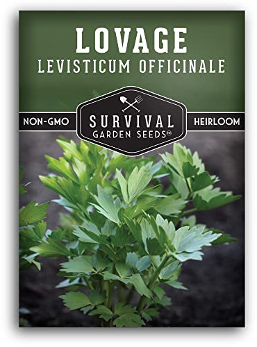 Survival Garden Seeds - Lovage Seed for Planting - 1 Pack with Instructions to Plant and Grow Perennial Levisticum Officinale Culinary Herb in Your Home Vegetable Garden - Non-GMO Heirloom Variety