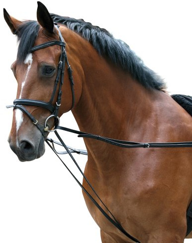 PFIFF Rênes allemandes pour longer Noir Pony