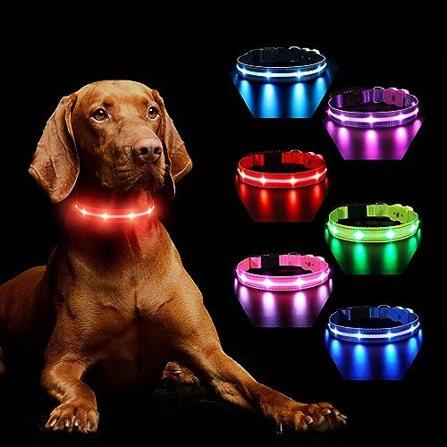 MASBRILL Hundehalsband Leuchtend Aufladbar, Leuchthalsband Hund 7 RGB Farbwechsel mit 8 Leuchtmodi, LED für Kleine Mittlere Große Hunde Leuchtendes Halsband, Rot S