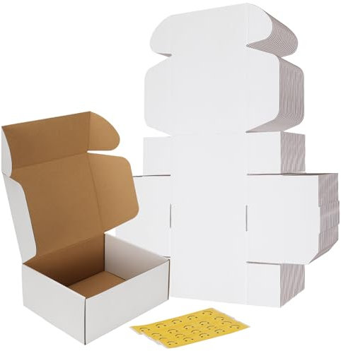 RLAVBL Scatola Cartone, Scatola per Spedizione,25.4x20.3x5cm, Scatola di Cartone Ondulate per Trasloco e Imballagio 20 Pezzi, Bianca