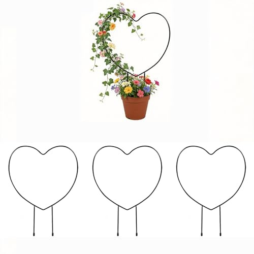 Lot De 3 Treillis pour Plantes Grimpantes - Petits Tuteurs en Fer Noir - Tuteur Accessoires pour De Jardin D'intérieur Extérieur pour Lierre Et Pot De Fleurs(D)