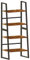 OYE 4 Tier Ladder Shelf, 2 in 1 Industrial Storage Rack Leaning Bookshelf for Living Room, Bedroom, Kitchen, Space Saving Small Book Shelf