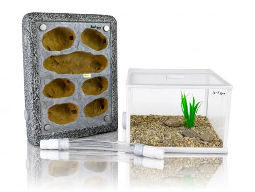 Formicarium Ameisennest Set Ameisenfarm in Granitoptik für Ameisen