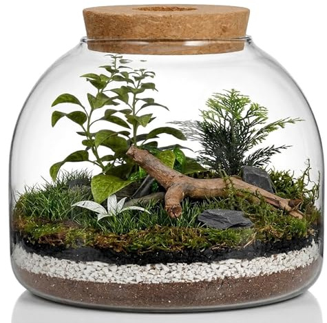 iplusmile Pflanzenterrarium aus Glasflasche: Glas mit korkdeckel DIY Micro-Landschaftsflasche Für Fischschale Vase flaschengarten Pflanzen Terrarium(Nur Flaschen)