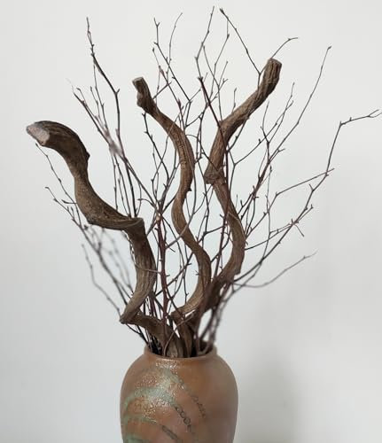 Branches de saule séchées épaisses et bouclées en rotin - Bâtons de bois bouclés, 43,2 à 55,9 cm de long - Pour loisirs créatifs, mariage, jardin, décoration de Noël