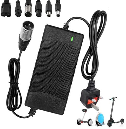 Rppiup 42v 2A Electric Scooter Charger,Hoverboard Charger with 6 Connections, Fast Charging Electric Bike Chargers for Li-Ion Battery, for Mobility Wheelchair, Bike, MobilityScooter