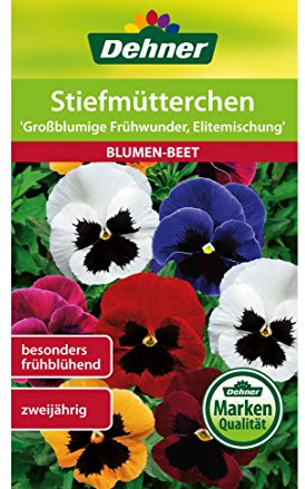 Dehner Blumen-Saatgut, Stiefmütterchen Großblumige Frühwunder, Elitemischung, 5er Pack (5 x 0.5 g)