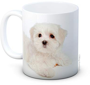 mug-tastic Maltese Terrier Perrito Perro Bichon - Taza De Café De Cerámica