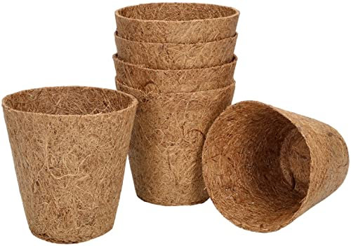 KOTARBAU® Lot de 6 pots de fleurs en noix de coco 8 x 8 cm