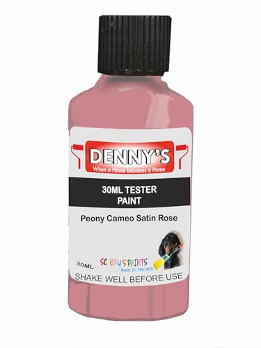 Premium Interior Wall & Furniture Chalk Paint – Peony Cameo Satin Rose – Rich Matt Finish, Durable & Washable, Low Odour, Ideal for Living Rooms, Bedrooms & Hallways (30ML Tester Bottle)