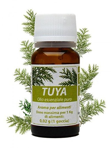 TUYA TUJA TUIA OLIO ESSENZIALE PURO 10 ml. Verruche e papillomi