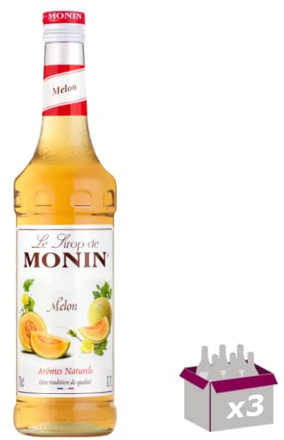 Lot de 3 Sirop - Melon - 70cL