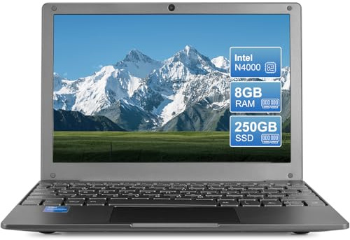 ZHAOHUIXIN Mini computadora portátil educativa con CPU Celeron N4000, 8 GB de RAM, 256 GB, SSD HD, pantalla IPS, computadora portátil para aprendizaje, trabajo de oficina (Gary)