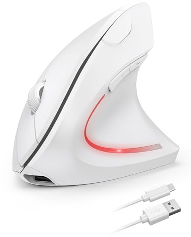 Ergonomic Mouse, 2.4G Wireless Mouse Rechargeable, 4800 DPI Vertical Mouse 6-Button Silent Mouse with 5 Adjustable Levels DPI, USB Receiver, Cordless Computer Optical Mouse for Laptop, PC, Mac