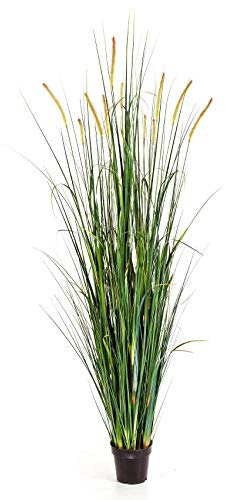 artplants.de Deko Fuchsschwanzgras FEHMI, 11 gelb - braunen Rispen, grün, 175cm - Künstliches Gras - Dekobündel
