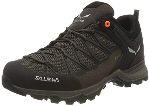 Salewa Mountain Trainer Lite Gore-Tex® Men's Shoes