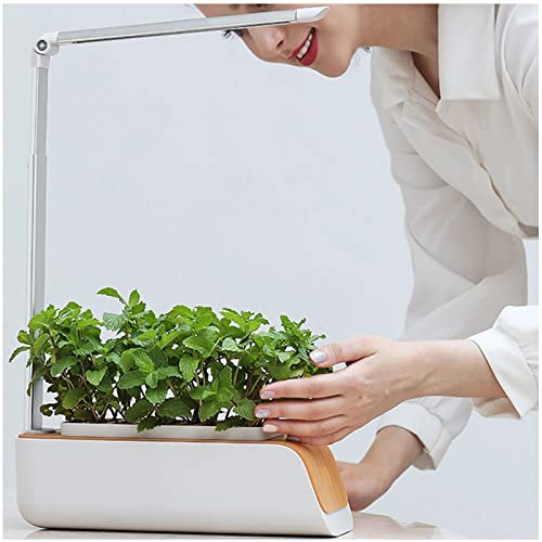 VVLXRIC Giardino Intelligente, Lampada Piante Indoor 16 Ore di Lavoro + 8 Ore di Sonno, Piante da Interno, Mini Piantine per Piante Grasse Bonsai
