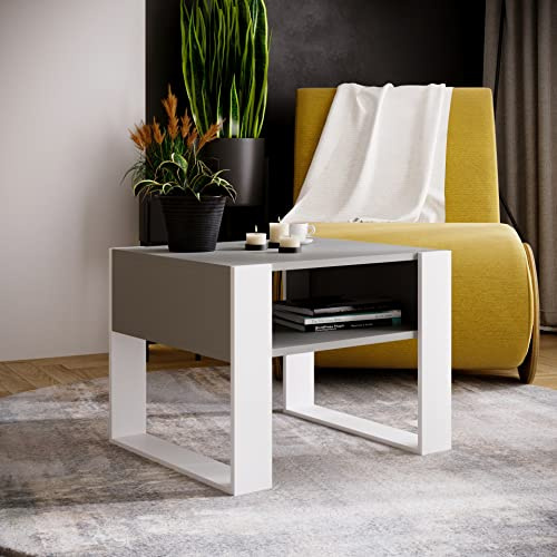 MRBLS_HOME MRBLS Couchtisch – modernes rustikales Design – Wohnzimmer-Tisch Beistelltisch Kaffeetisch Sofatisch Teetisch aus Holz (Grau Matt - Weiß Matt) - 65 x 45 x 53,6cm (B/H/T)