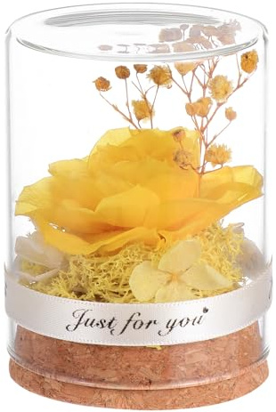 Hemobllo Rose Éternelle sous Cloche Verre Créative Décoration Romantique pour Saint-Valentin Cadeau Spécial pour Maison et Bureau Ornement Chaleureux pour Fête des Mères et Anniversaires