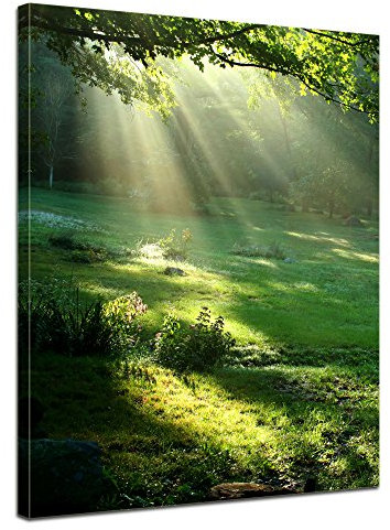 Bilderdepot24 Bild auf Leinwand | Wiese in 60x80 cm als Wandbild | Wand-deko Dekoration Wohnung modern Bilder | 202627