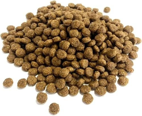 Premium Complete Hedgehog Food 500g Complete Food SMW