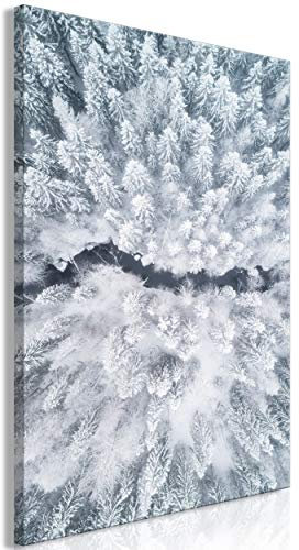 decomonkey Bilder Wald Winter 40x60 cm 1 Teilig Leinwandbilder Bild auf Leinwand Vlies Wandbild Kunstdruck Wanddeko Wand Wohnzimmer Wanddekoration Deko Natur Schnee