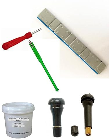 EQUIPEMENT EXPRESS SICOBA Kit 100 Plombs Masses d’Equilibrage Adhésifs 4x5g+4x10g +100 Valves TR413-414 + Tire Valve + Démonte Obus + Graisse Pneu