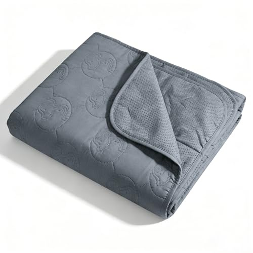 Pawsee Wasserdicht Hundedecke rutschfest, wasserdichte Hundematte für Unterwegs Hundesofa Schutzdecke Couch Überwurf, Waschbar Wasserabweisende Hundedecke für Große Hunde Katzen, M 150 x 120cm