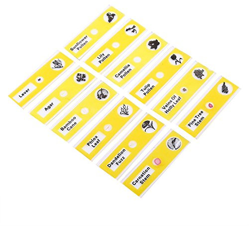 Walfront 12pcs Plastik Vorbereitete Mikroskop Objektträger Tiere Insekten Blumen Pflanzen Musterproben für Grundlegende Biologische Wissenschaft Bildung mit Box(Gelbe)