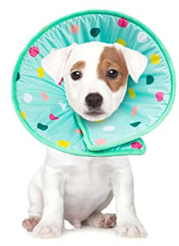 BESPORTBLE Hundehalskrause Aus Weichem Material Schutzkragen Für Hunde Und Katzen Wiederherstellungskragen Größe XL Elizabethanischer Halskragen Für Wundschutz Und Heilung
