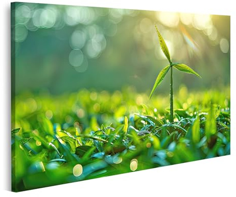 islandburner Bild auf Leinwand Junges Windmühlen-Bild mit Tautropfen gegen leuchtendes Bokeh-Licht Wohnzimmer Kunstgalerie Windmühle Wandbilder Bilder