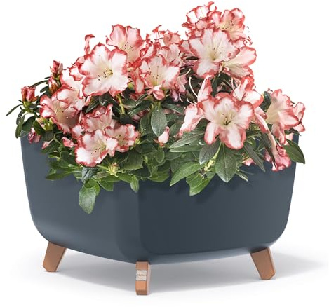 Blumentopf Schale mit Füßen Pflanzentopf Blumentöpfe Rechteckig Gross Klein Töpfe Pflanzschale Pflanzkübel Übertopf Innen- und Außenbereich für Blumen Garten Balkon Terrasse Haus (Anthrazit, 39 cm)