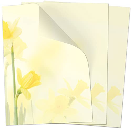 50 Blatt Briefpapier (A4) | Frühling gelb Osterglocke | Motivpapier | edles Design Papier | beidseitig bedruckt | Osternpapier Motiv Ostern | 90 g/m²