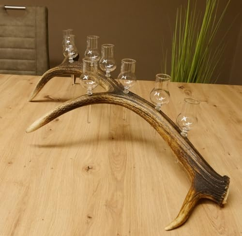 GTK - Geweihe & Trophäen KRUMHOLZ 27.60.2.46 Lot de 8 petits verres à piquer avec pied sur tige de cerf