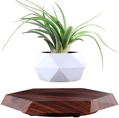 MOOCCI Floating Plant Pot Magnetic Levitating Plant Pot for Succulents, Air Bonsai and Fake Flowers and Plants, Unique Decor for Home, Office and Desk, Father's Day (Brown)