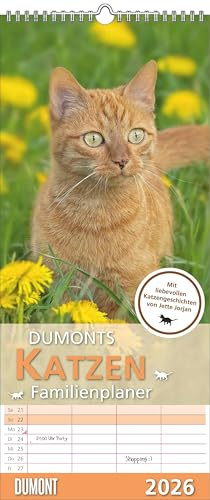 DUMONTS - Katzen Kalender 2026 – Familienplaner 20x45 cm – mit liebevollen Katzenmotiven & Texten von Jette Jordan, 4 Spalten für die ganze Familie