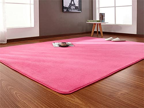 Alfombra de Terciopelo Coral Grueso de Color sólido Calidad Melon rojo Suave Lavable Antideslizante Grande Rugs Rug Minimalista Moderna Sala De Estar Dormitorio Tatami Gateando Estera -100×200cm