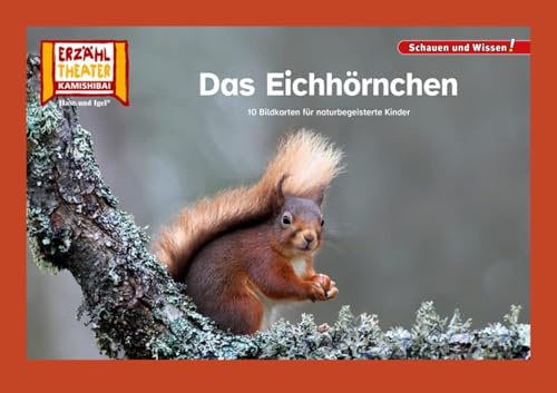 Das Eichhörnchen / Kamishibai Bildkarten: 10 Bildkarten für das Erzähltheater (Schauen und Wissen!)