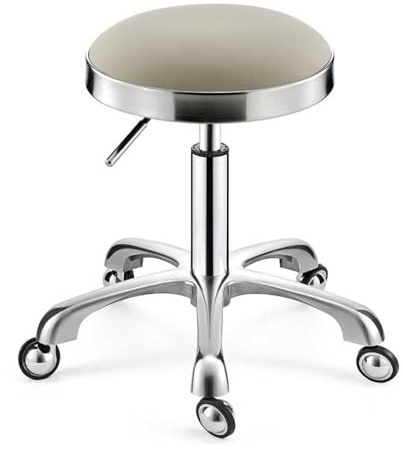 Sadelpall, Beige Silver Rullande Snurrpall Skönhetssalongstol, Läderkudde for Medicinsk Vård, Spa Kontor Massage Manikyr Tatueringsstol(Light Gray,Silver)